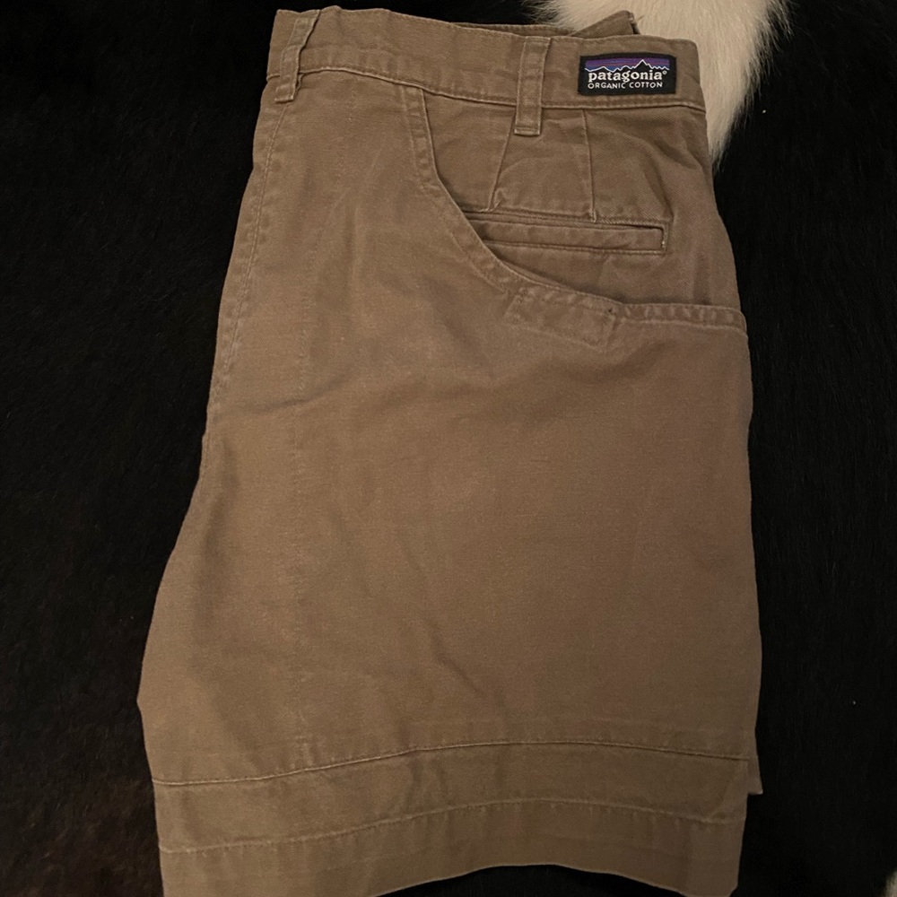 Men’s Patagonia Shorts